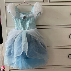 Cinderella Dress